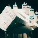 Lactobacilli Strains Probiotics: 7 Proven Reasons You’re Overlooking the Most Clinically Studied Gut Allies